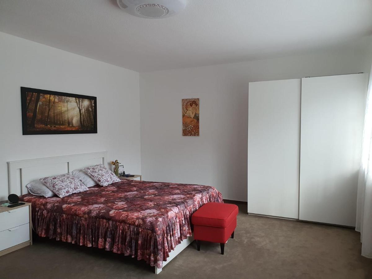 Hotel Garni Steinbacher Tal Χαϊδελβέργη Εξωτερικό φωτογραφία